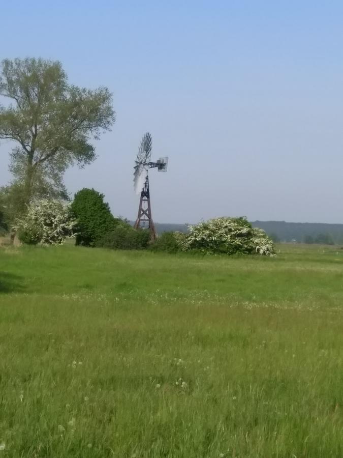 Segebrecht *